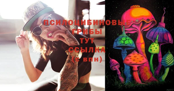 гашик Вязники