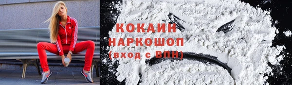 дживик Володарск