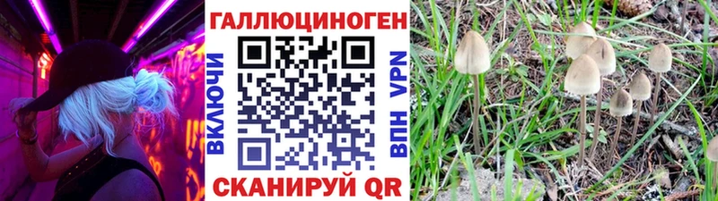 площадка наркотические препараты  что такое наркотик  Дубовка  Галлюциногенные грибы ЛСД 